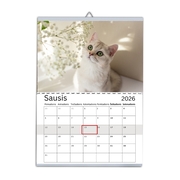 Kalendorius 30x42 cm (A3)